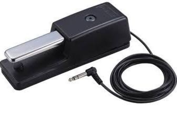 Roland Fußpedal und Systainpedal